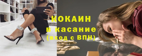 шишки Дмитровск