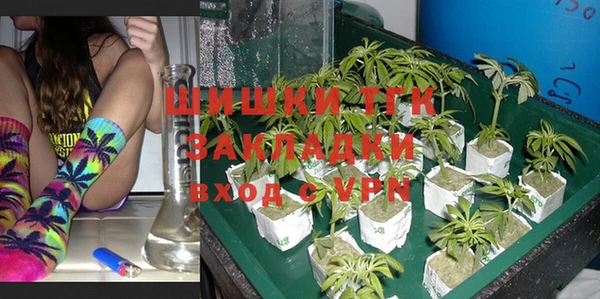 экстази Дмитриев
