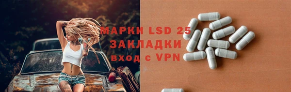дмт Дмитров