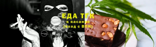 дмт Дмитров