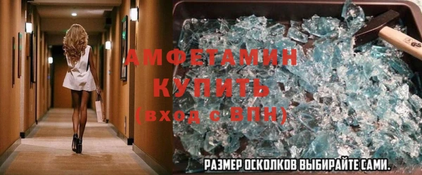 шишки Дмитровск