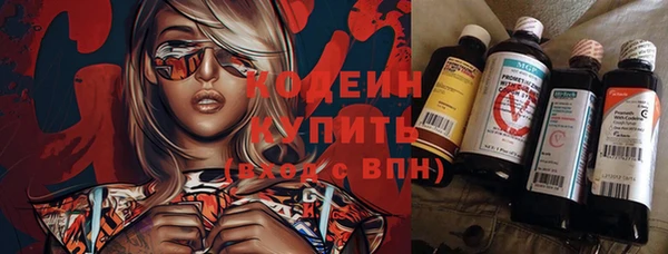 шишки Дмитровск