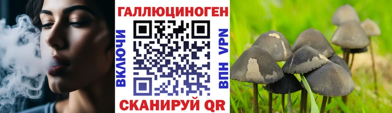 Купить  Карпинск  Псилоцибиновые грибы Magic Shrooms 